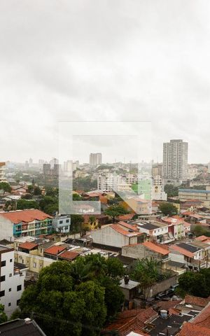 Apartamento para alugar com 30m², 1 quarto e sem vaga Apartamento para alugar com 30m², 1 quarto e sem vagaVista da Cozinha