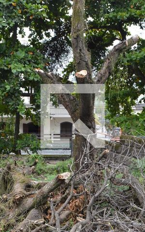 Casa à venda com 300m², 4 quartos e 3 vagasJardim do Jardim
