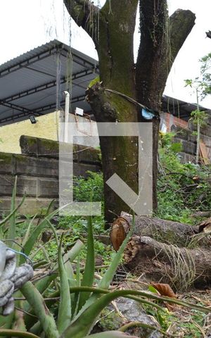 Casa à venda com 300m², 4 quartos e 3 vagasJardim
