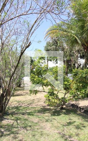 Apartamento à venda com 55m², 2 quartos e 1 vagaÁrea Comum