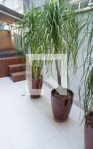Apartamento à venda com 250m², 4 quartos e 4 vagas Apartamento à venda com 250m², 4 quartos e 4 vagasÁrea Externa