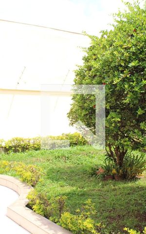 Casa à venda com 583m², 4 quartos e 6 vagasQuintal