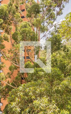 Apartamento para alugar com 62m², 2 quartos e 1 vaga Apartamento para alugar com 62m², 2 quartos e 1 vagaVista da Varanda
