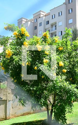 Apartamento para alugar com 63m², 3 quartos e 1 vagaVista do Quarto 3 