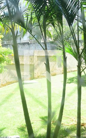 Apartamento para alugar com 63m², 3 quartos e 1 vagaÁrea de Serviço