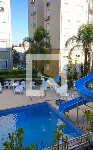 Apartamento à venda com 56m², 2 quartos e 1 vagaÁrea comum - Piscina