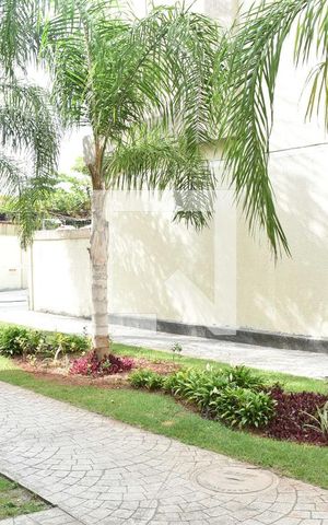 Apartamento para alugar com 45m², 2 quartos e 1 vagaVista da Area de Serviço