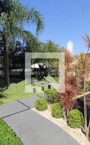Apartamento à venda com 187m², 3 quartos e 3 vagasÁrea comum