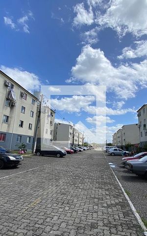 Apartamento à venda com 54m², 2 quartos e 1 vagaGaragem