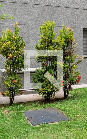 Apartamento à venda com 57m², 3 quartos e 1 vaga Apartamento à venda com 57m², 3 quartos e 1 vagaÁrea comum