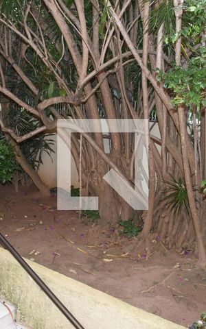 Casa à venda com 300m², 6 quartos e 4 vagasQuintal