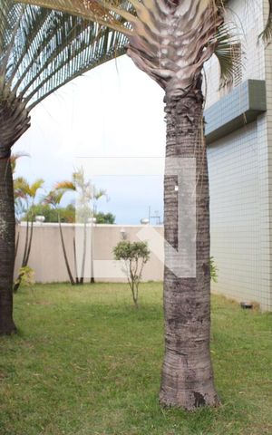 Apartamento à venda com 74m², 3 quartos e 2 vagasArea verde