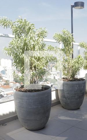 Studio para alugar com 24m², 1 quarto e sem vagaÁrea comum