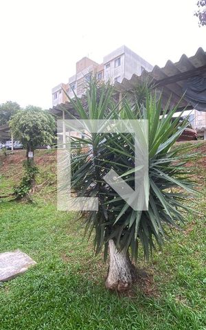 Apartamento à venda com 54m², 2 quartos e 1 vaga Apartamento à venda com 54m², 2 quartos e 1 vagaJardim