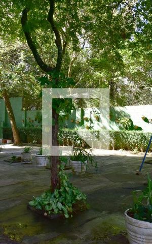 Apartamento à venda com 65m², 2 quartos e 1 vagaÁrea comum