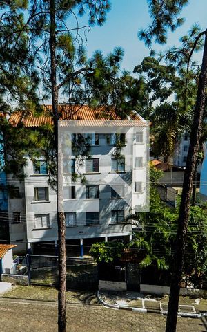Apartamento para alugar com 55m², 2 quartos e 1 vagaVista do Quarto 1