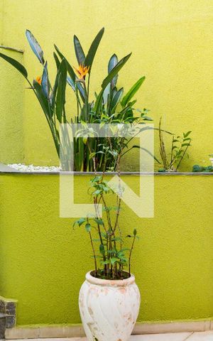 Casa para alugar com 300m², 3 quartos e 4 vagasQuintal