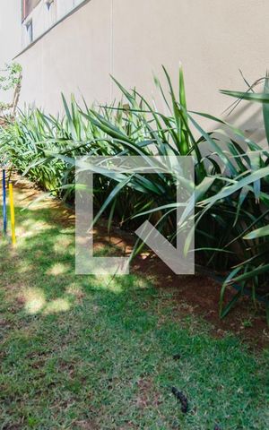 Apartamento à venda com 33m², 1 quarto e sem vaga Apartamento à venda com 33m², 1 quarto e sem vagaÁrea comum - Espaço Pet