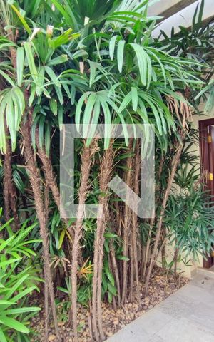 Casa à venda com 640m², 4 quartos e 5 vagasEntrada