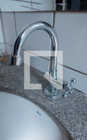 Apartamento para alugar com 55m², 2 quartos e 1 vagaDetalhe do Banheiro