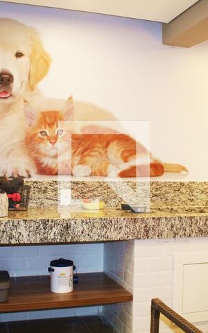 Apartamento para alugar com 33m², 1 quarto e sem vagaEspaço Pet