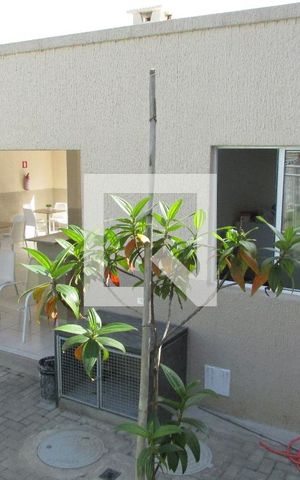 Apartamento para alugar com 42m², 2 quartos e 1 vagaSalão de Festas