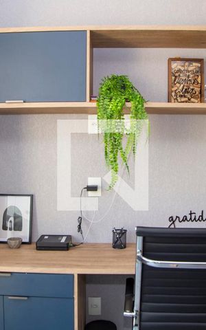 Studio para alugar com 30m², 1 quarto e sem vagaStudio 