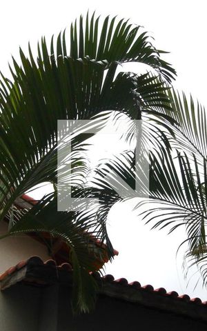 Casa de condomínio para alugar com 30m², 1 quarto e sem vagavista da lavanderia
