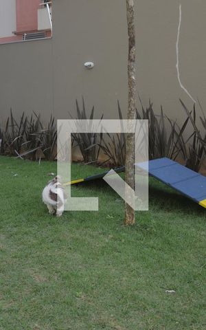 Studio à venda com 38m², 1 quarto e 1 vagaPetPlace