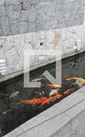 Casa à venda com 250m², 3 quartos e 5 vagasGaragem - aquário