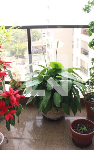 Apartamento à venda com 380m², 4 quartos e 5 vagasVaranda 