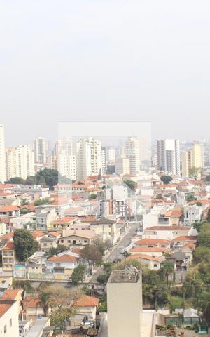 Apartamento à venda com 380m², 4 quartos e 5 vagasVista 