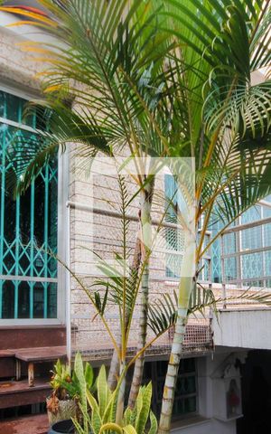 Casa à venda com 251m², 3 quartos e 4 vagasFachada interna