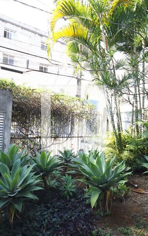 Casa à venda com 300m², 3 quartos e 4 vagasJardim