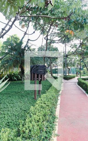 Apartamento para alugar com 65m², 3 quartos e 1 vaga Apartamento para alugar com 65m², 3 quartos e 1 vagaArea Verde
