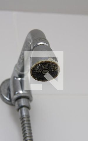 Apartamento para alugar com 79m², 3 quartos e 1 vagaBanheiro Social