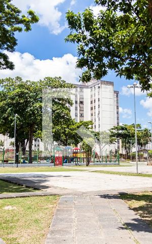 Apartamento para alugar com 59m², 2 quartos e 2 vagas Apartamento para alugar com 59m², 2 quartos e 2 vagasÁrea Externa