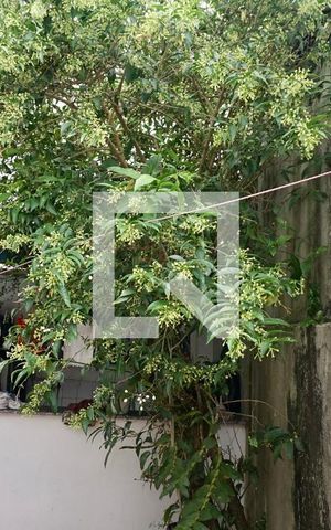 Casa de condomínio à venda com 194m², 3 quartos e 3 vagas Casa de condomínio à venda com 194m², 3 quartos e 3 vagasQuintal fundos