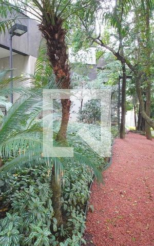 Apartamento à venda com 250m², 3 quartos e 2 vagasÁrea comum