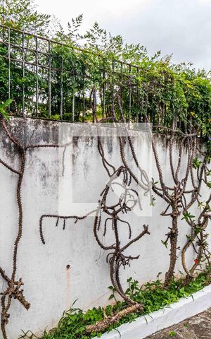 Casa à venda com 417m², 3 quartos e 7 vagas Casa à venda com 417m², 3 quartos e 7 vagasFachada
