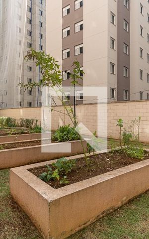 Apartamento à venda com 43m², 2 quartos e sem vaga Apartamento à venda com 43m², 2 quartos e sem vagaÁrea comum