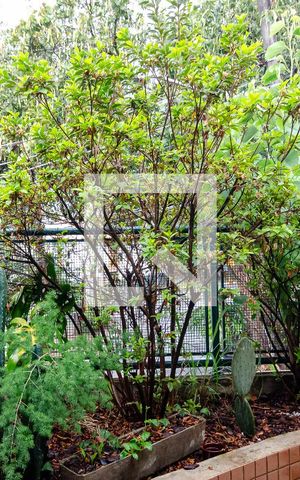 Casa à venda com 200m², 3 quartos e 2 vagasQuarto 1