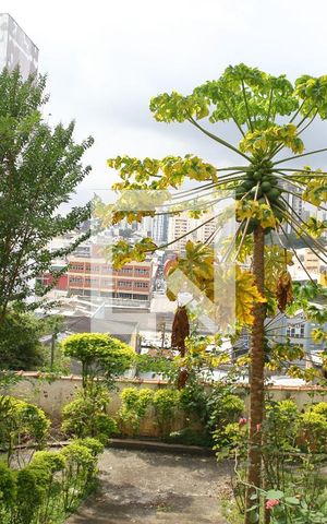 Casa para alugar com 370m², 3 quartos e 6 vagas`Area verde