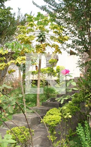 Casa para alugar com 370m², 3 quartos e 6 vagasÁrea verde