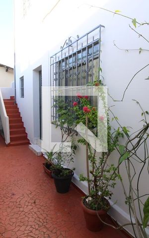Casa à venda com 325m², 3 quartos e 1 vagaQuintal 3