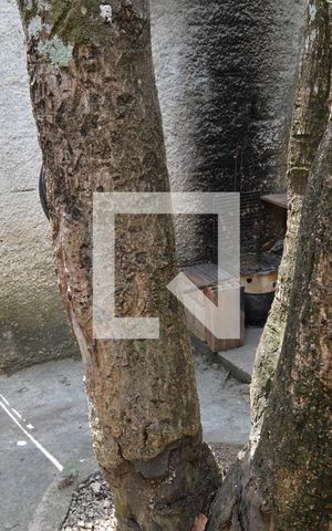 Casa para alugar com 40m², 1 quarto e sem vagaÁrea de Serviço