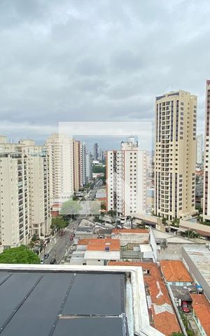 Apartamento à venda com 196m², 3 quartos e 3 vagasVista Suíte 1