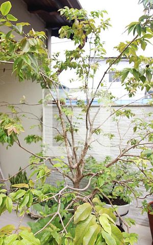 Casa à venda com 196m², 3 quartos e 4 vagasVaranda Quarto 3 