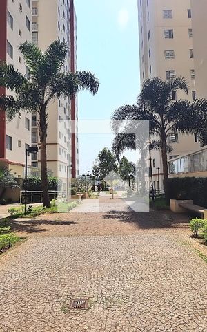 Apartamento para alugar com 45m², 2 quartos e 1 vagaÁrea comum
