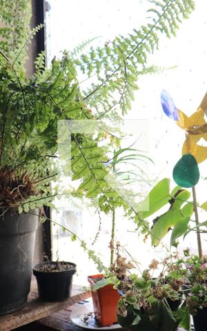 Apartamento para alugar com 50m², 2 quartos e 1 vagaDetalhe da area de serviço